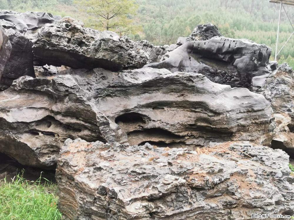 风景石、假山石大量有货，有需要的欢迎联系 - 新手上路 - 红河生活社区 - 红河28生活网 honghe.28life.net