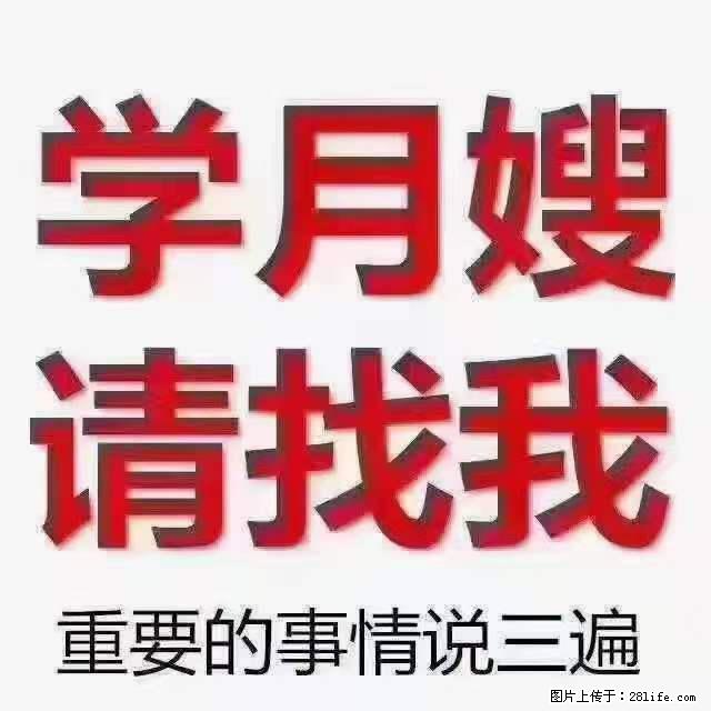 为什么要学习月嫂，育婴师？ - 新手上路 - 红河生活社区 - 红河28生活网 honghe.28life.net