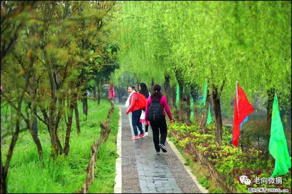 【春天，广西桂林灌阳县向您发出邀请！】江口老街又逢春 - 游山玩水 - 红河生活社区 - 红河28生活网 honghe.28life.net