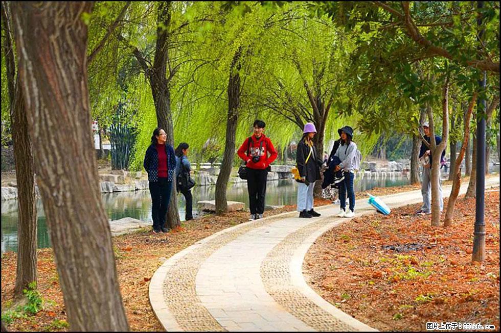 【春天，广西桂林灌阳县向您发出邀请！】江口老街又逢春 - 游山玩水 - 红河生活社区 - 红河28生活网 honghe.28life.net
