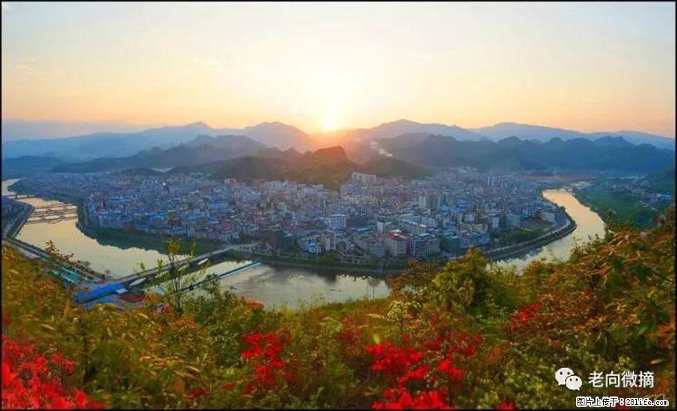【春天，广西桂林灌阳县向您发出邀请！】登麒麟山，相约映山红 - 游山玩水 - 红河生活社区 - 红河28生活网 honghe.28life.net