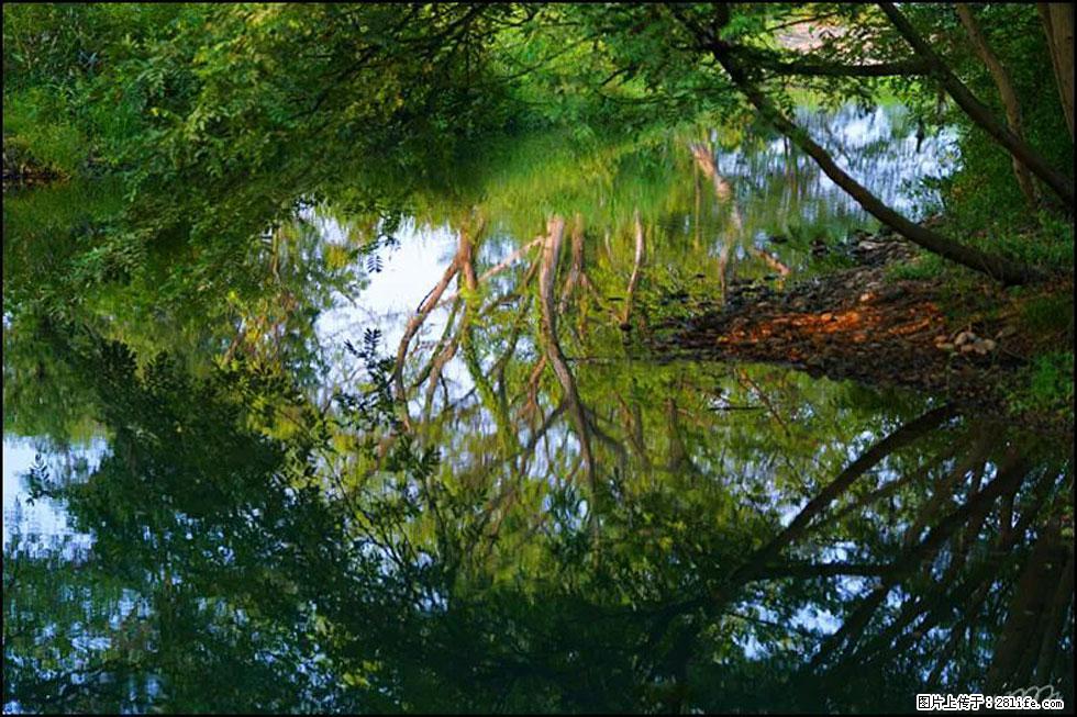 【春天，广西桂林灌阳县向您发出邀请！】熊家寨湿地公园 - 游山玩水 - 红河生活社区 - 红河28生活网 honghe.28life.net