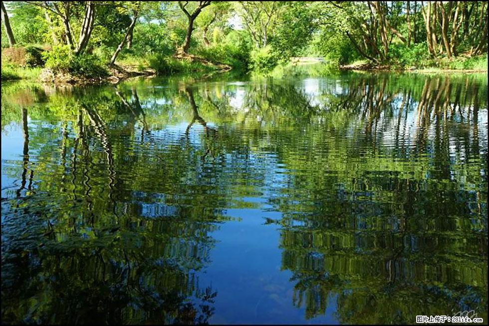 【春天，广西桂林灌阳县向您发出邀请！】熊家寨湿地公园 - 游山玩水 - 红河生活社区 - 红河28生活网 honghe.28life.net