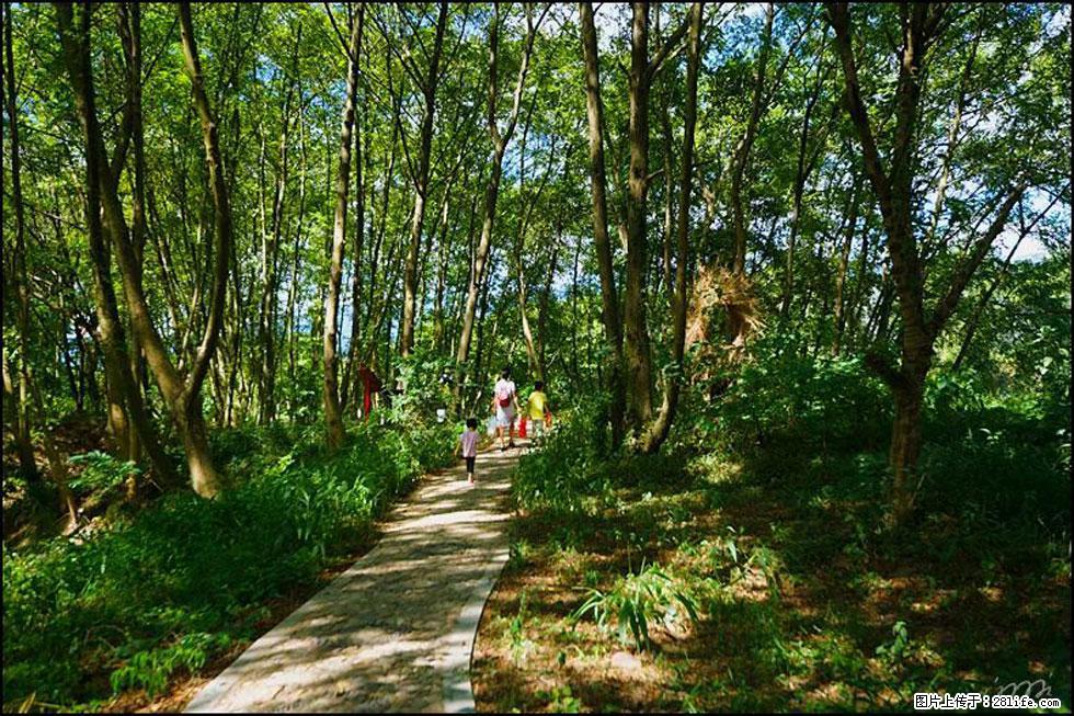 【春天，广西桂林灌阳县向您发出邀请！】熊家寨湿地公园 - 游山玩水 - 红河生活社区 - 红河28生活网 honghe.28life.net