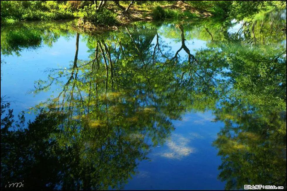 【春天，广西桂林灌阳县向您发出邀请！】熊家寨湿地公园 - 游山玩水 - 红河生活社区 - 红河28生活网 honghe.28life.net