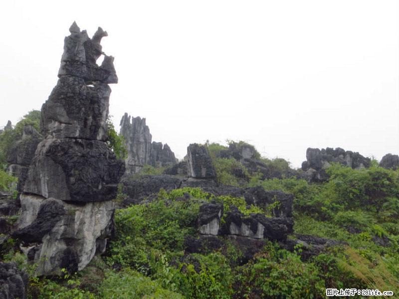 桂林旅游名城景点：灌阳文市石林 - 游山玩水 - 红河生活社区 - 红河28生活网 honghe.28life.net