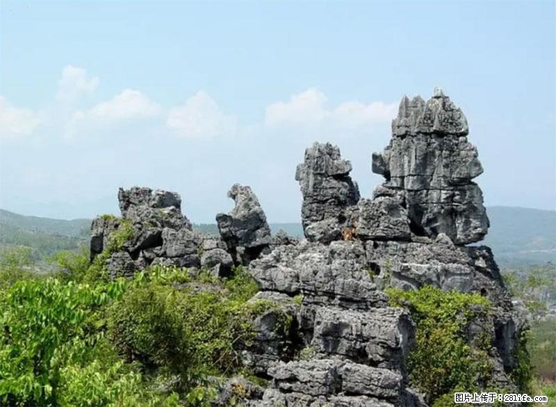 桂林旅游名城景点：灌阳文市石林 - 游山玩水 - 红河生活社区 - 红河28生活网 honghe.28life.net