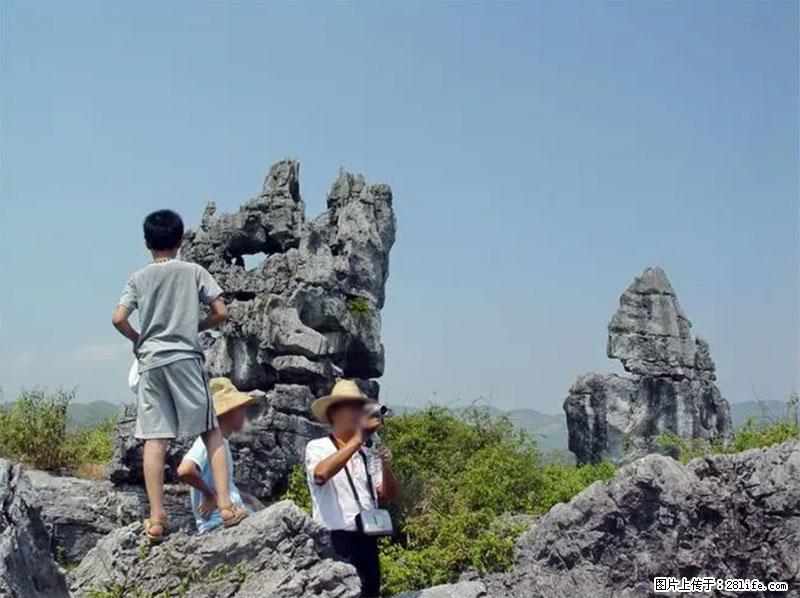 桂林旅游名城景点：灌阳文市石林 - 游山玩水 - 红河生活社区 - 红河28生活网 honghe.28life.net