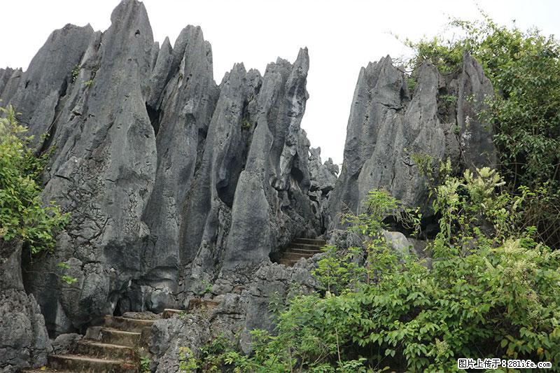 桂林旅游名城景点：灌阳文市石林 - 游山玩水 - 红河生活社区 - 红河28生活网 honghe.28life.net