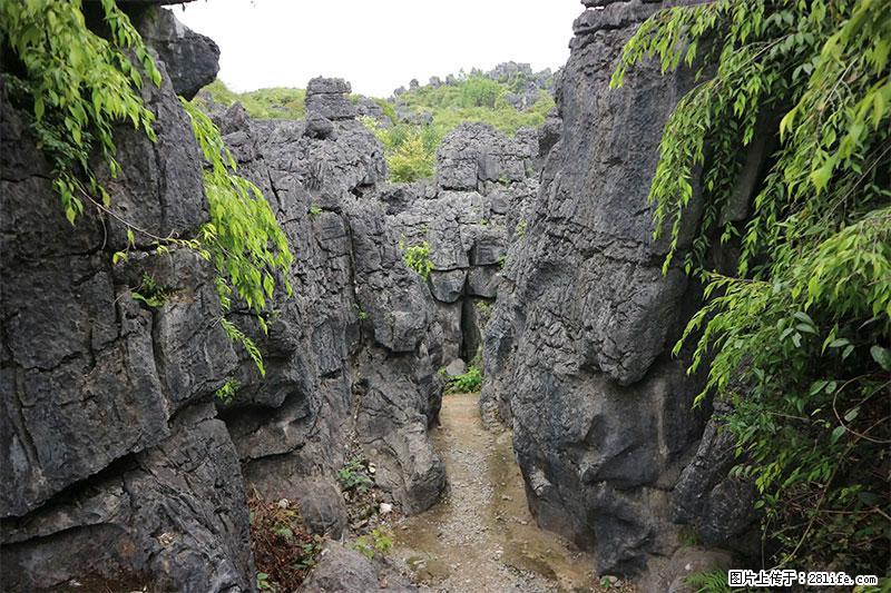 桂林旅游名城景点：灌阳文市石林 - 游山玩水 - 红河生活社区 - 红河28生活网 honghe.28life.net