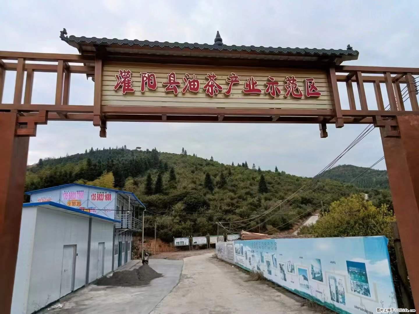 【灌阳县油茶产业示范区】一个有着充实的精神生活的人，对待身外之物自会有一种淡泊的态度 - 土特产 - 饮食特产 - 红河分类信息 - 红河28生活网 honghe.28life.net