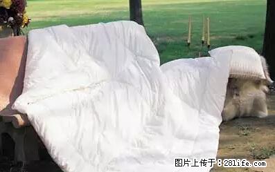 被子有异味？只要这样做，比晒太阳还强100倍！ - 家居生活 - 红河生活社区 - 红河28生活网 honghe.28life.net