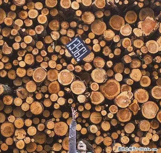 辞掉工作周游世界?现在他们在洗厕所…… - 游山玩水 - 红河生活社区 - 红河28生活网 honghe.28life.net