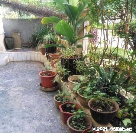 银河二小附近《999富康花园》拎包入住 中装 1楼 带花园 - 房屋出租 - 房屋租售 - 红河分类信息 - 红河28生活网 honghe.28life.net