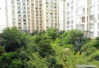 创泰御翠湾一期 2楼 带家具家电出租 欢迎致电 - 红河28生活网 honghe.28life.net