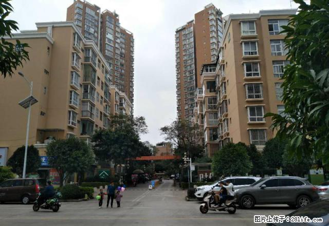 州医院旁学海路时代天骄板式电梯房大4房吉房租售 - 房屋出租 - 房屋租售 - 红河分类信息 - 红河28生活网 honghe.28life.net