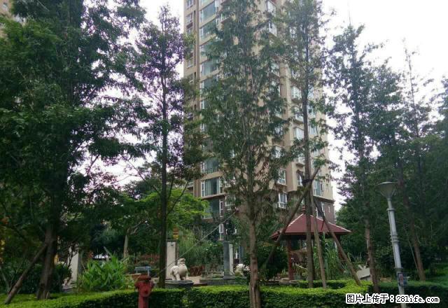 朝阳路人工湖旁长河天骄，户型好无浪费，带全部家具 - 房屋出租 - 房屋租售 - 红河分类信息 - 红河28生活网 honghe.28life.net
