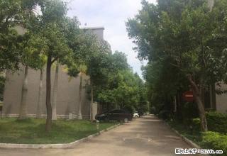 临街 商。住。楼 整栋出租 看房方便 一年租金8万 3年起租 - 红河28生活网 honghe.28life.net