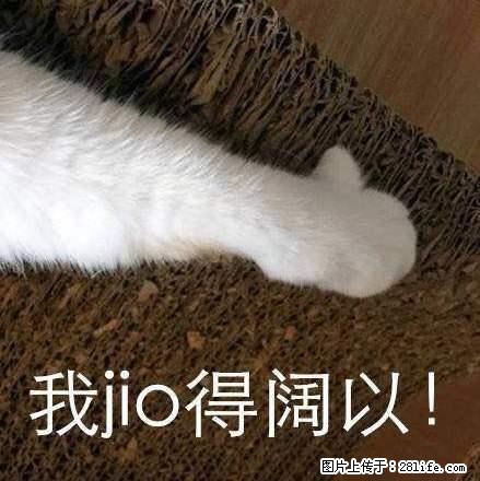 燕之屋 大三室 精装修家具家电齐全 拎包入住 - 房屋出租 - 房屋租售 - 红河分类信息 - 红河28生活网 honghe.28life.net