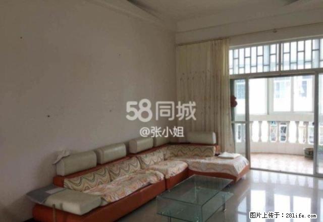 银河路 金苑小区 中等装修 家具家电全 拎包入住 - 房屋出租 - 房屋租售 - 红河分类信息 - 红河28生活网 honghe.28life.net