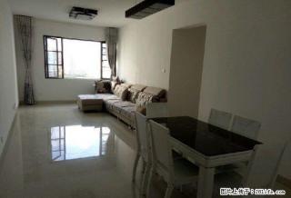 学海路 金岸品城 精装两房 家具家电齐全 拎包入住 - 红河28生活网 honghe.28life.net