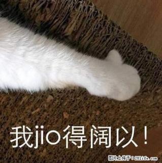 燕之屋 大三室 精装修家具家电齐全 拎包入住 - 红河28生活网 honghe.28life.net