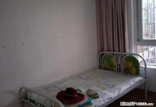 风尚国际公寓带花园出租 - 红河28生活网 honghe.28life.net