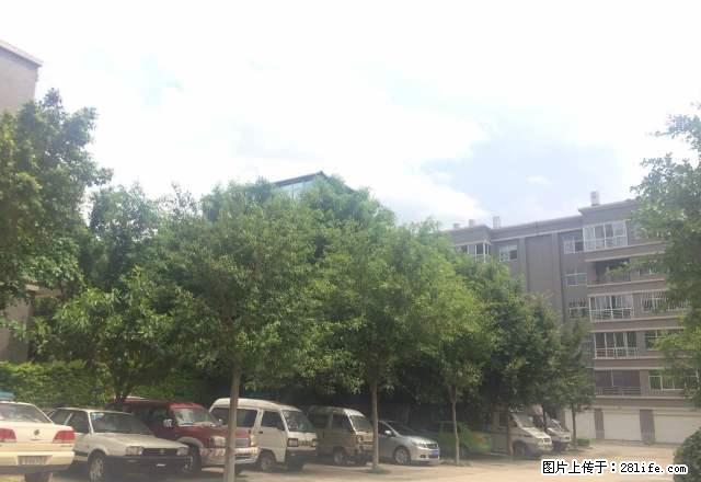 晓龙岛4楼好房出租，小区环境很好，楼层也很好 - 房屋出租 - 房屋租售 - 红河分类信息 - 红河28生活网 honghe.28life.net