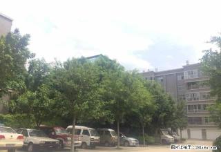 晓龙岛4楼好房出租，小区环境很好，楼层也很好 - 红河28生活网 honghe.28life.net
