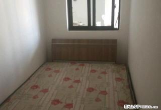 俊豪中央大街 2室1厅1卫 - 红河28生活网 honghe.28life.net