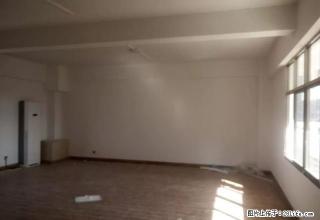 南湖旁 写字楼出租 交通方便 生活方便采购好地理位置好 - 红河28生活网 honghe.28life.net
