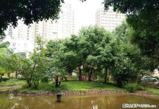 朝阳路鸿运花园空房出租，南北通透，此时不下手，什么时候？ - 红河28生活网 honghe.28life.net