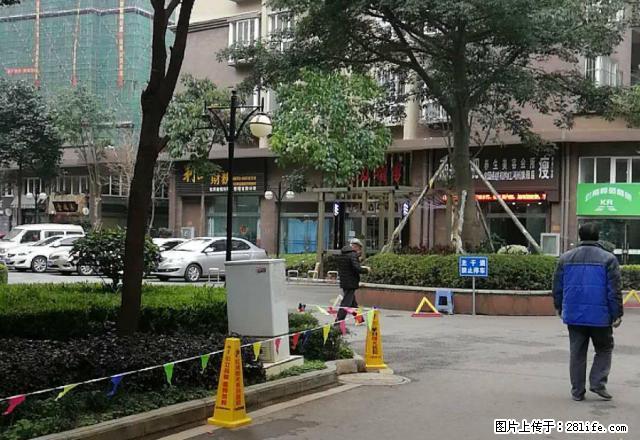 临街旺铺 新鲜出炉！长河天骄临街旺铺 共两层，价格实惠！！ - 房屋出租 - 房屋租售 - 红河分类信息 - 红河28生活网 honghe.28life.net