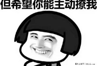 圣路苑带50平米大露台3室2厅2卫 - 红河28生活网 honghe.28life.net