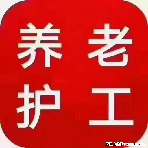 上海国企养老院，星级酒店环境，招聘养老护工 - 职场交流 - 红河生活社区 - 红河28生活网 honghe.28life.net