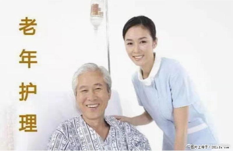 上海国企养老院，星级酒店环境，招聘养老护工 - 职场交流 - 红河生活社区 - 红河28生活网 honghe.28life.net