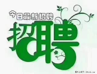 【招聘摄像师】待遇：试用期6000元/月，转正7000元/月+五险一金+餐补+节日福利+奖金 - 红河28生活网 honghe.28life.net