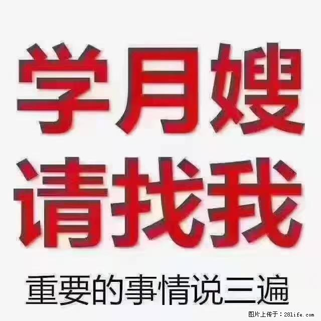 【招聘】月嫂，上海徐汇区 - 职场交流 - 红河生活社区 - 红河28生活网 honghe.28life.net