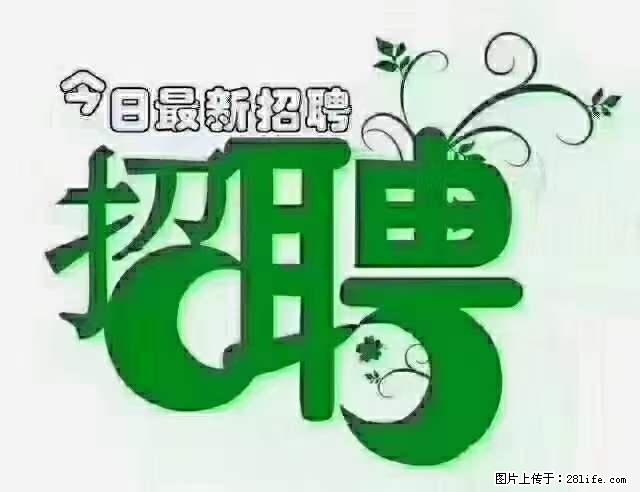 上海隔离酒店招人：55岁以下 男女不限 - 职场交流 - 红河生活社区 - 红河28生活网 honghe.28life.net