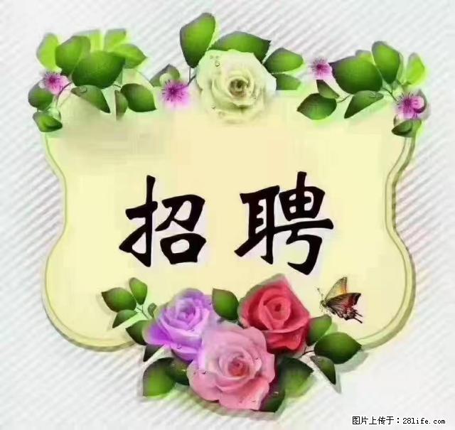 【招聘】住家育儿嫂，上户日期：4月4日，工作地址：上海 黄浦区 - 职场交流 - 红河生活社区 - 红河28生活网 honghe.28life.net
