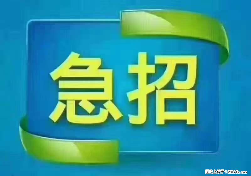 招出纳8000元/月，无证可以，要有相关经验，上海五险一金，包住，包工作餐，做六休一。 - 职场交流 - 红河生活社区 - 红河28生活网 honghe.28life.net