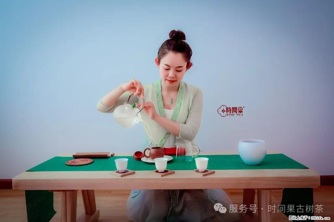 时间果百年古树龙珠普洱生茶 - 购物交流 - 红河生活社区 - 红河28生活网 honghe.28life.net