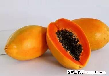 晕车、脚气、牙齿变黄、皮肤粗糙？学会这些三分钟搞定！ - 红河生活资讯 - 红河28生活网 honghe.28life.net