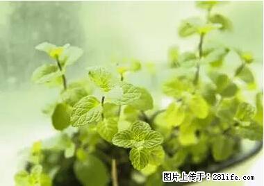 晕车、脚气、牙齿变黄、皮肤粗糙？学会这些三分钟搞定！ - 红河生活资讯 - 红河28生活网 honghe.28life.net