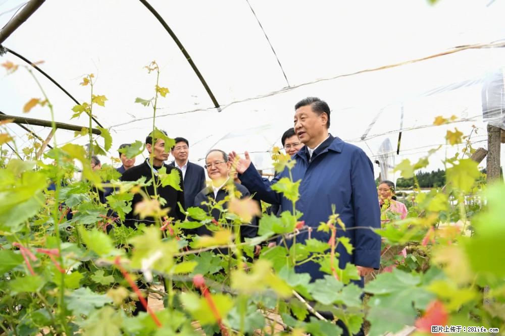 习近平赴广西考察调研 - 红河生活资讯 - 红河28生活网 honghe.28life.net