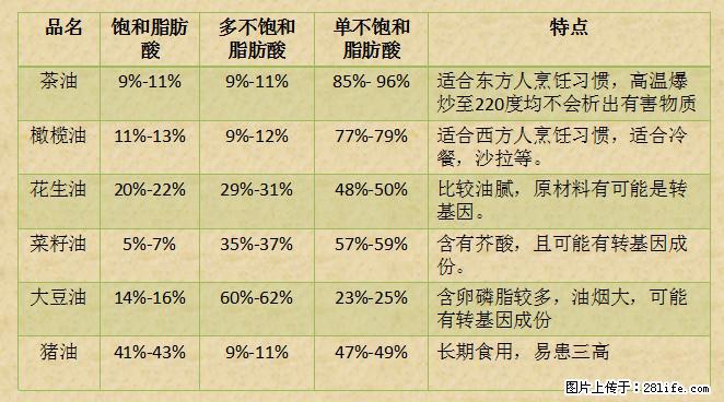 揭秘茶油的5大核心营养成分！被称为人体健康的“守护盾”！ - 红河生活资讯 - 红河28生活网 honghe.28life.net