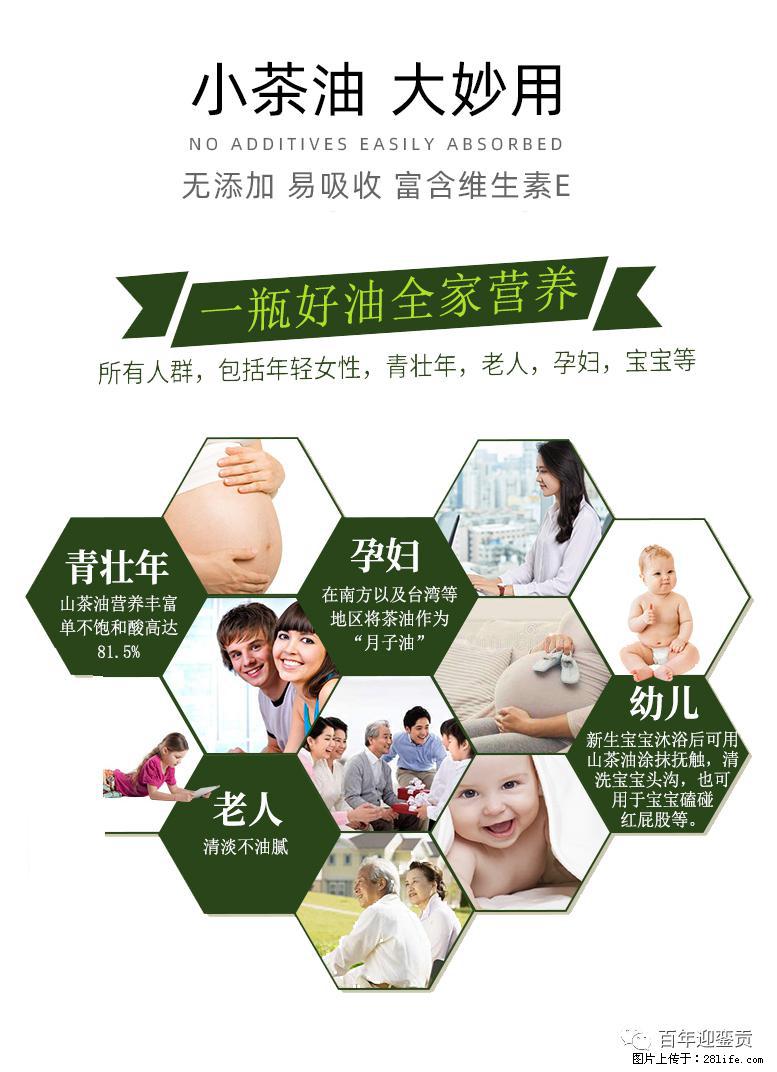 世界没有真相，只有认知，最好的食用油是中国的山茶油！ - 红河生活资讯 - 红河28生活网 honghe.28life.net