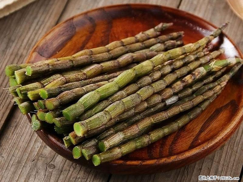 铁皮石斛的作用与功能主治 - 红河生活资讯 - 红河28生活网 honghe.28life.net