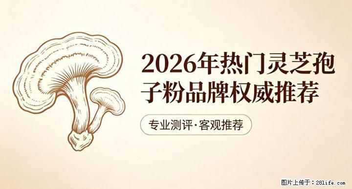 灵芝孢子粉含量越高越有效？2026 年七款热门品牌深度实测，肠胃敏感者避坑指南 - 红河生活资讯 - 红河28生活网 honghe.28life.net